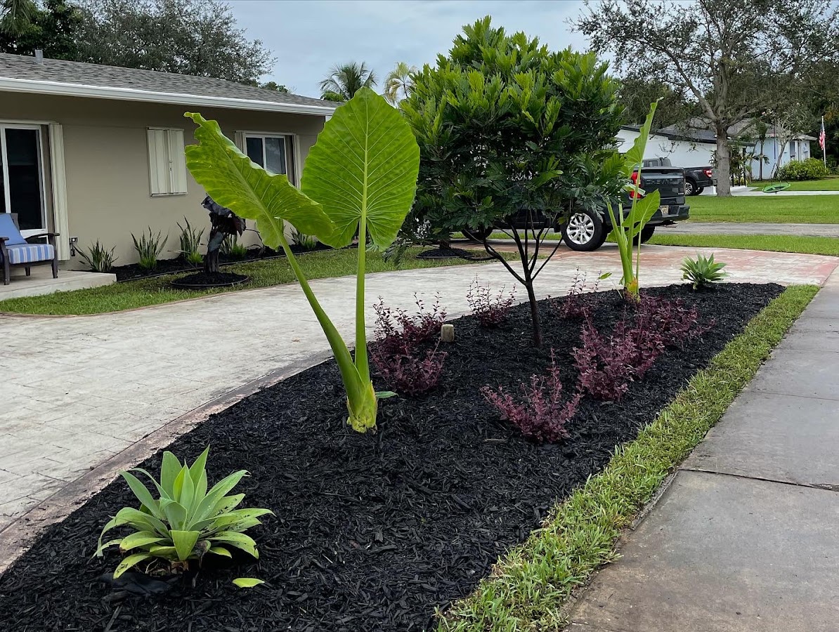 bluebird lawn & landsc work
