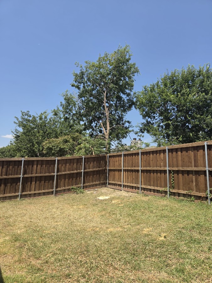 project photo
