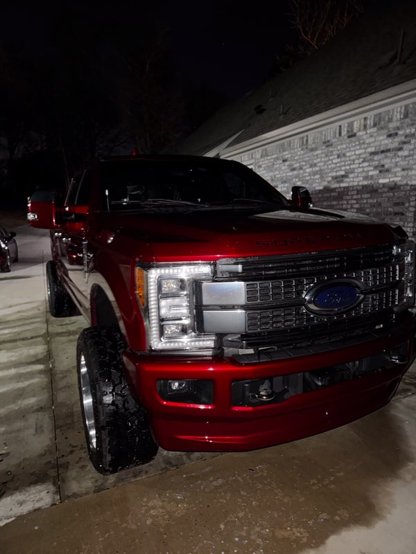 Majesty detailing - Ar work